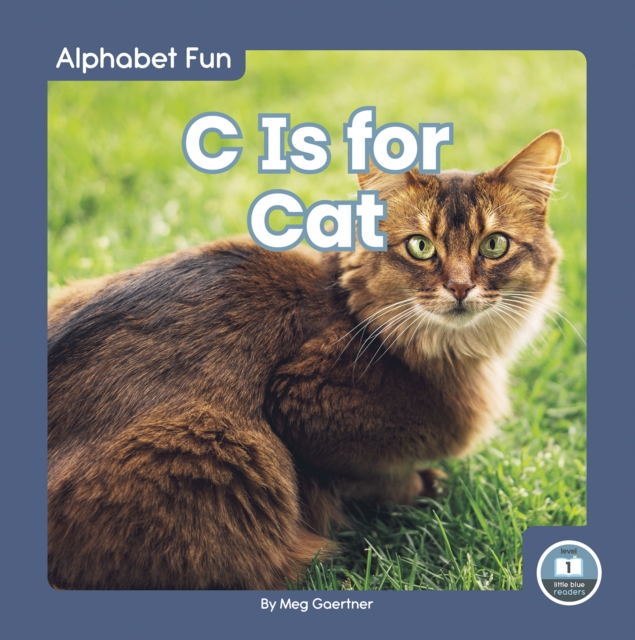 Alphabet Fun: C is for Cat, Hardback Book