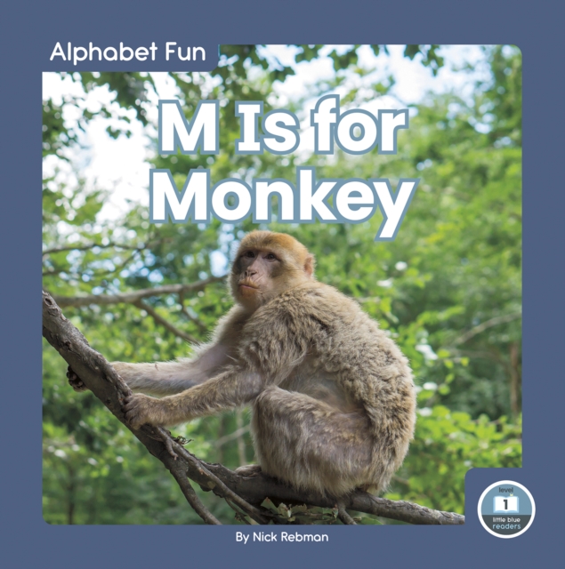 Alphabet Fun: M is for Monkey, Hardback Book