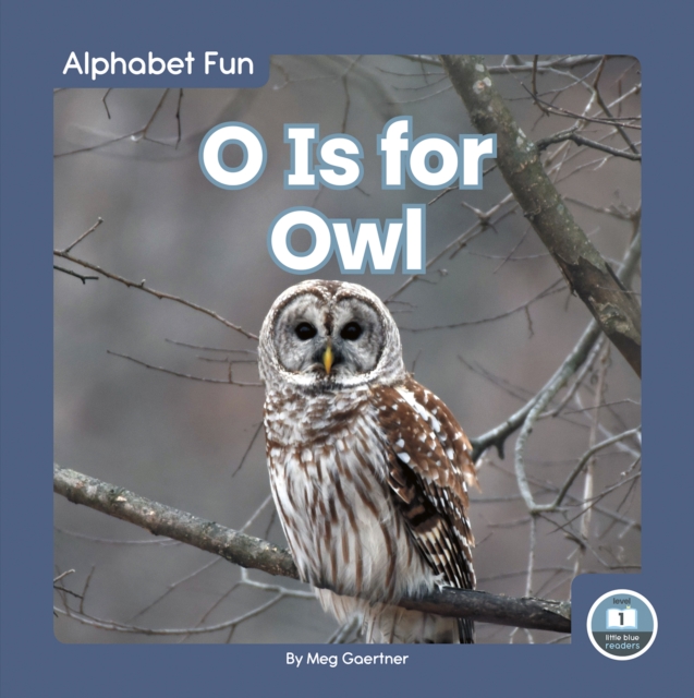 Alphabet Fun: O is for Owl, Hardback Book