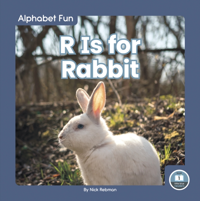 Alphabet Fun: R is for Rabbit, Hardback Book