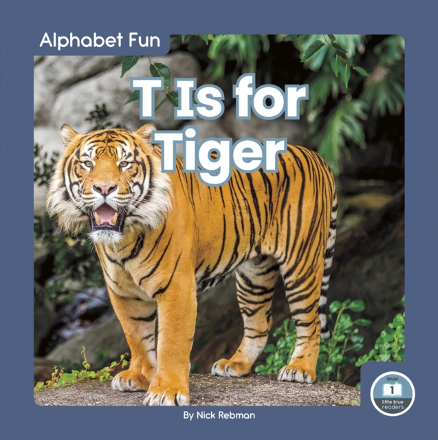 Alphabet Fun: T is for Tiger, Hardback Book