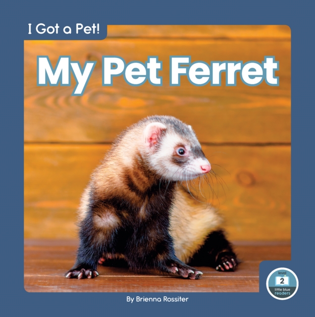 I Got a Pet! My Pet Ferret, Hardback Book