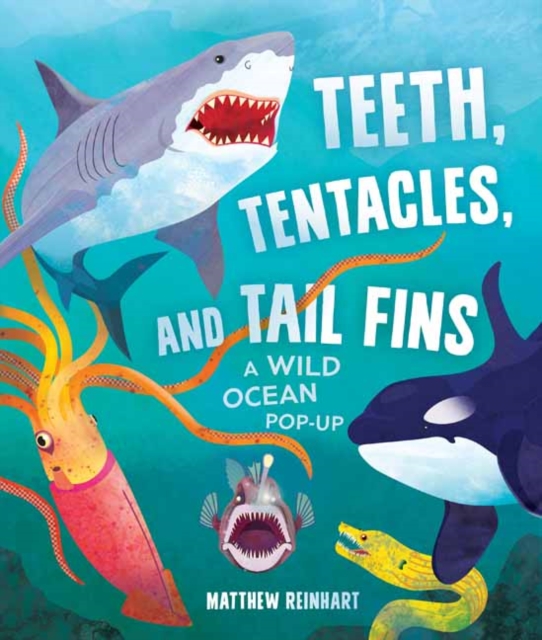 Teeth, Tentacles, and Tail Fins (Reinhart Pop-Up Studio) : A Wild Ocean Pop-Up, Hardback Book