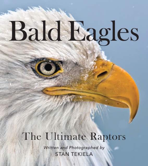 Bald Eagles : The Ultimate Raptors, Paperback / softback Book