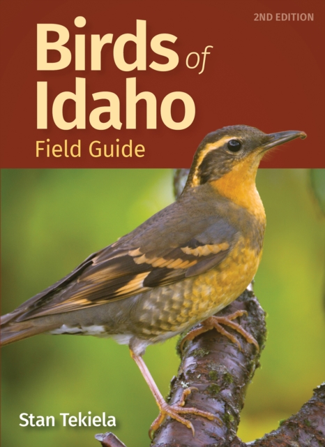 Birds of Idaho Field Guide, Paperback / softback Book