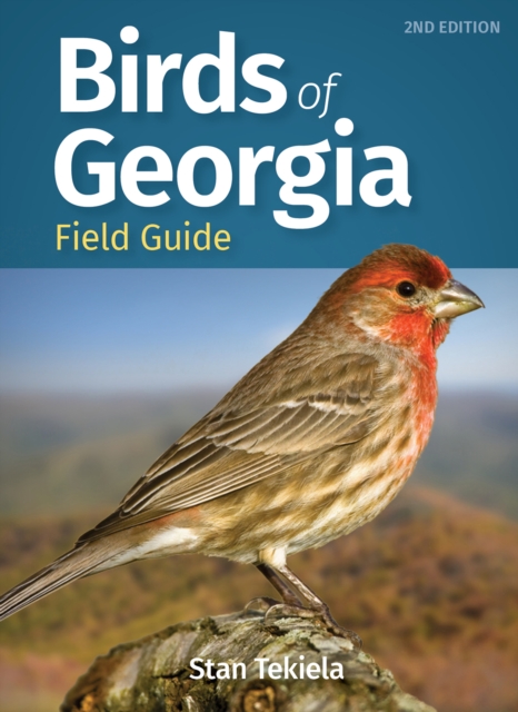 Birds of Georgia Field Guide, Paperback / softback Book