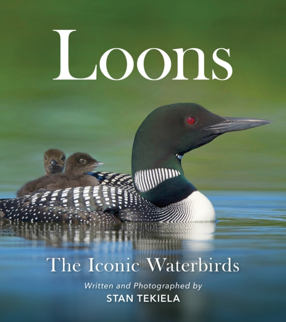 Loons : The Iconic Waterbirds, Paperback / softback Book