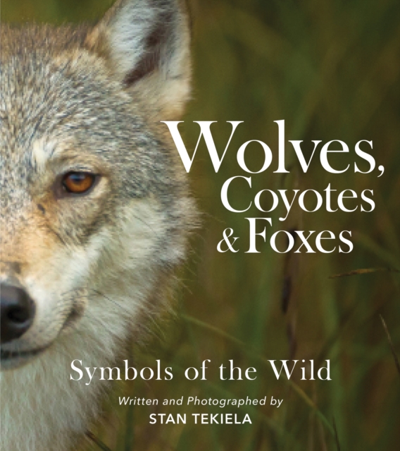 Wolves, Coyotes & Foxes : Symbols of the Wild, Paperback / softback Book