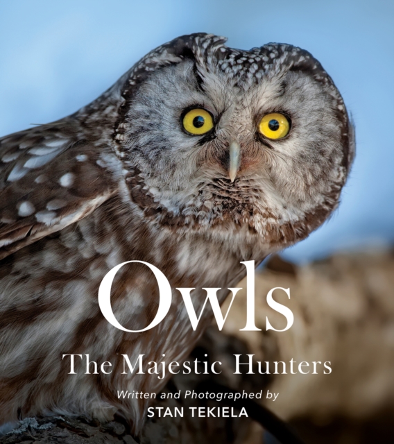 Owls : The Majestic Hunters, Paperback / softback Book