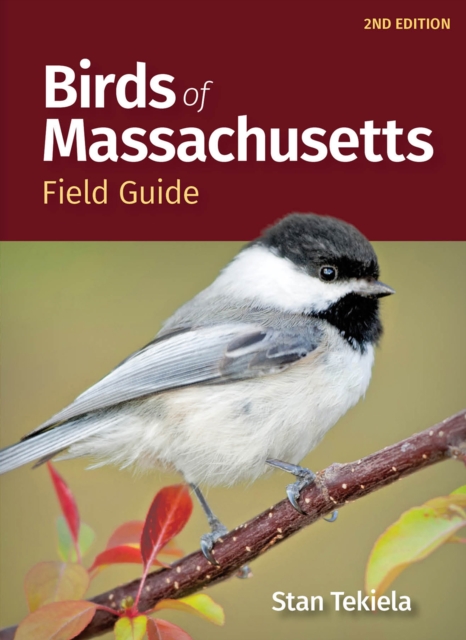 Birds of Massachusetts Field Guide, Paperback / softback Book