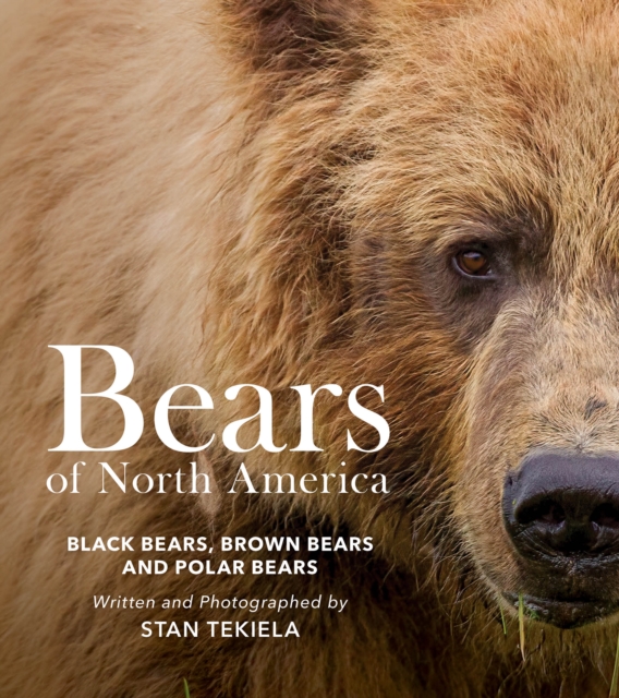 Bears of North America : Black Bears, Brown Bears, and Polar Bears, Paperback / softback Book