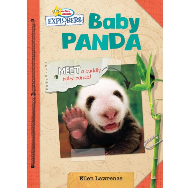 Baby Panda, eAudiobook MP3 eaudioBook
