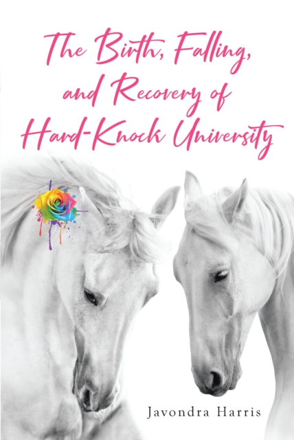 The Birth, Falling, and Recovery of Hard-Knock University, EPUB eBook
