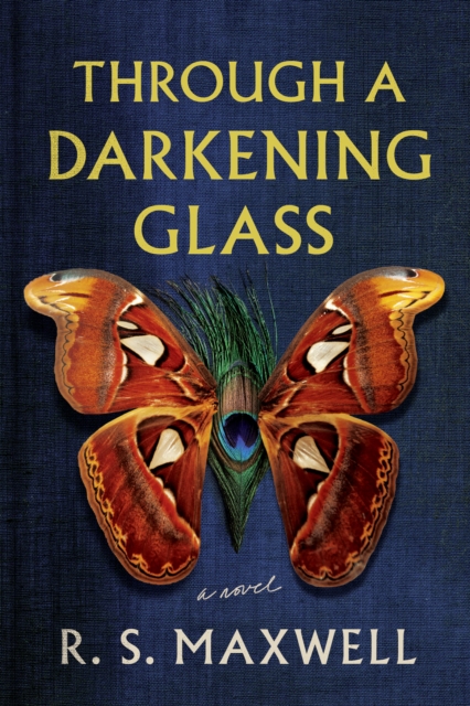 Through a Darkening Glass : A Novel, Paperback / softback Book