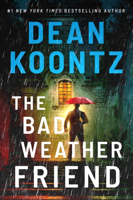 The Bad Weather Friend, Paperback / softback Book