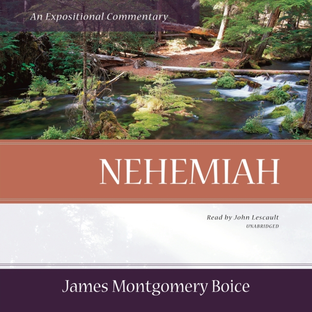 Nehemiah, eAudiobook MP3 eaudioBook