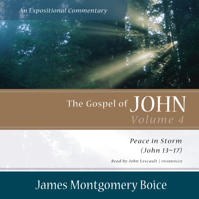 The Gospel of John: An Expositional Commentary, Vol. 4, eAudiobook MP3 eaudioBook