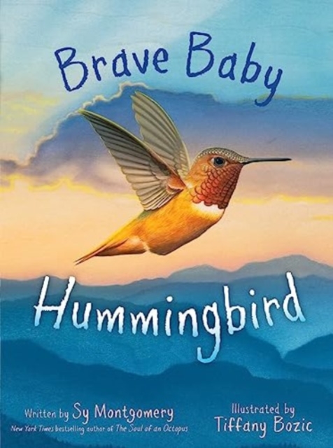 Brave Baby Hummingbird, Hardback Book