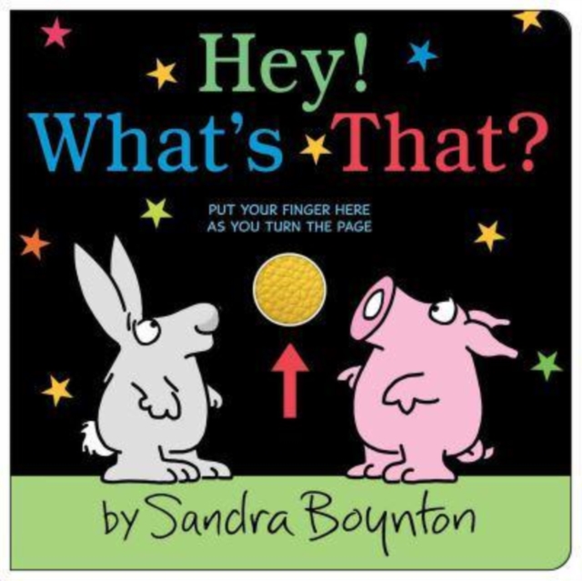 Hey! What's That?, Board book Book