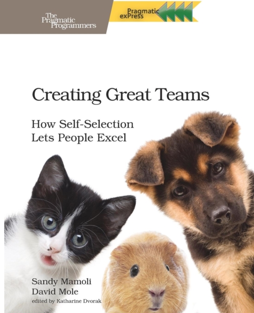 Creating Great Teams, Paperback / softback Book