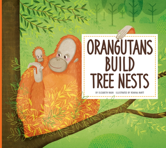 Orangutans Build Tree Nests : Animal Builders, Paperback / softback Book
