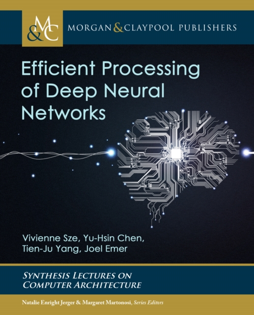Efficient Processing of Deep Neural Networks, EPUB eBook