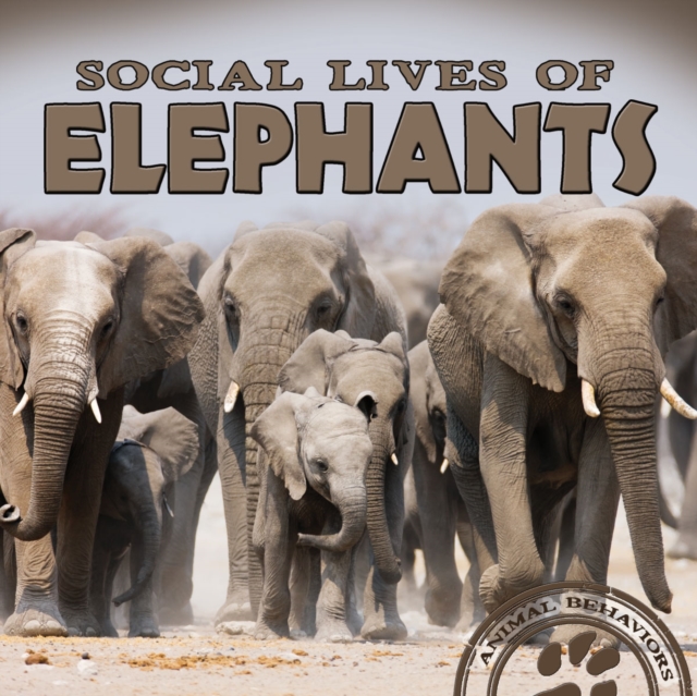 Social Lives of Elephants, PDF eBook