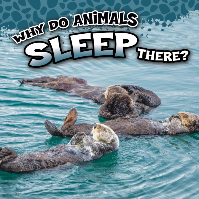 Why Do Animals Sleep There?, PDF eBook