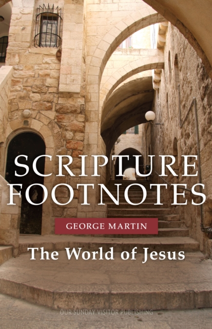 Scripture Footnotes : The World of Jesus, EPUB eBook