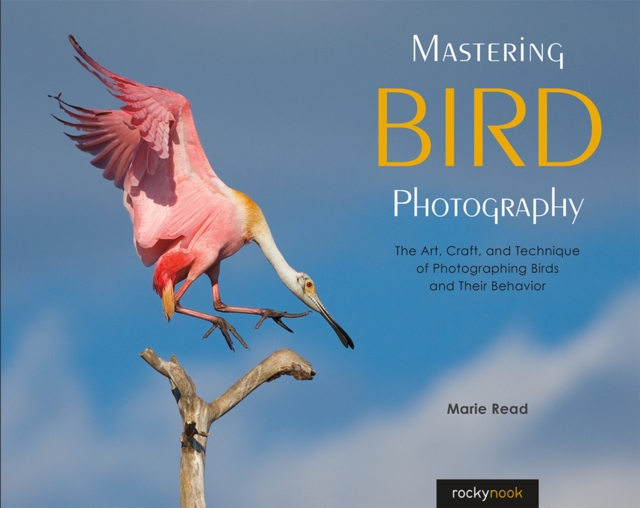 Mastering Bird Photography : The Art, Craft, and Technique of Photographing Birds and Their Behavior, PDF eBook
