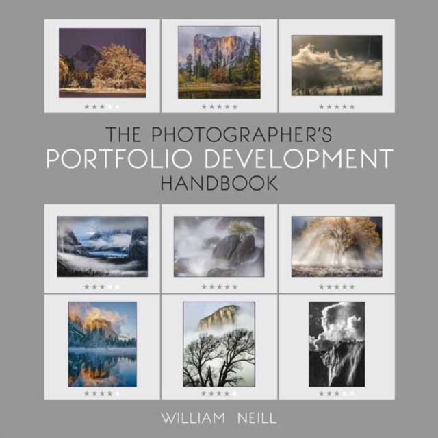 The Photographer's Portfolio Development Workshop, Paperback / softback Book