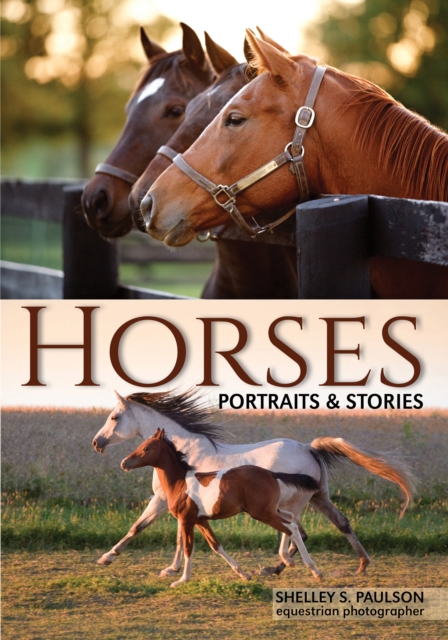 Horses : Portraits & Stories, EPUB eBook