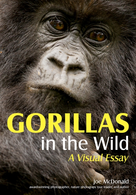 Gorillas in the Wild : A Visual Essay, EPUB eBook