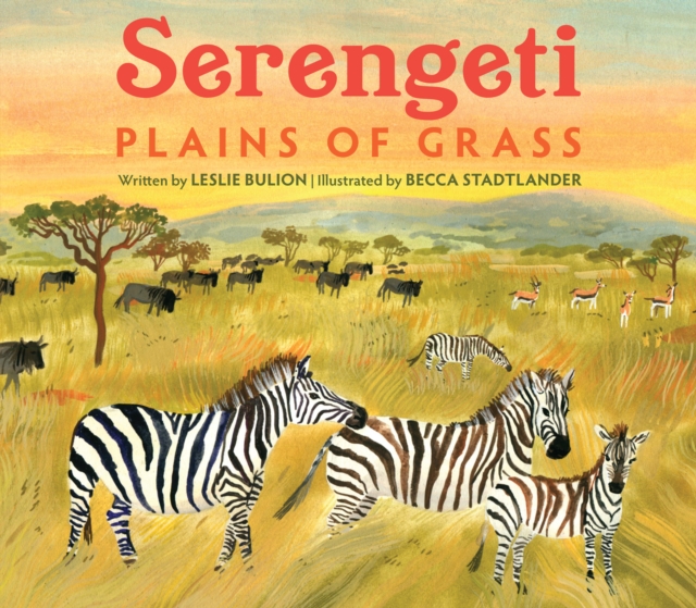 Serengeti : Plains of Grass, Paperback / softback Book