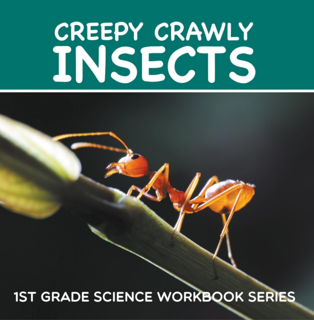Creepy Crawly Insects : 1st Grade Science Workbook Series, EPUB eBook