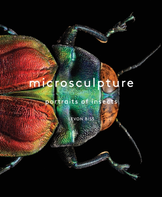 Microsculpture : Portraits of Insects, EPUB eBook