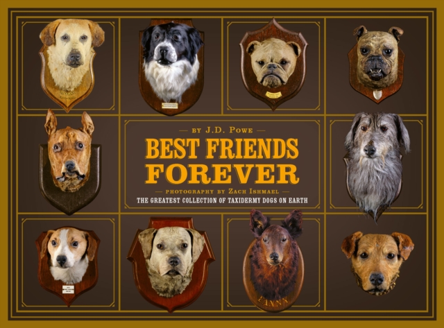 Best Friends Forever : The Greatest Collection of Taxidermy Dogs on Earth, EPUB eBook