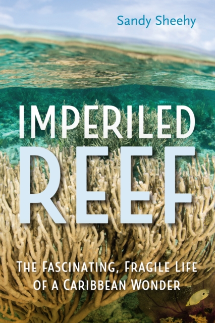 Imperiled Reef : The Fascinating, Fragile Life of a Caribbean Wonder, EPUB eBook