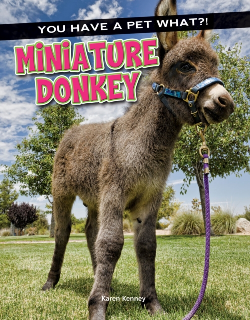 Miniature Donkey, PDF eBook