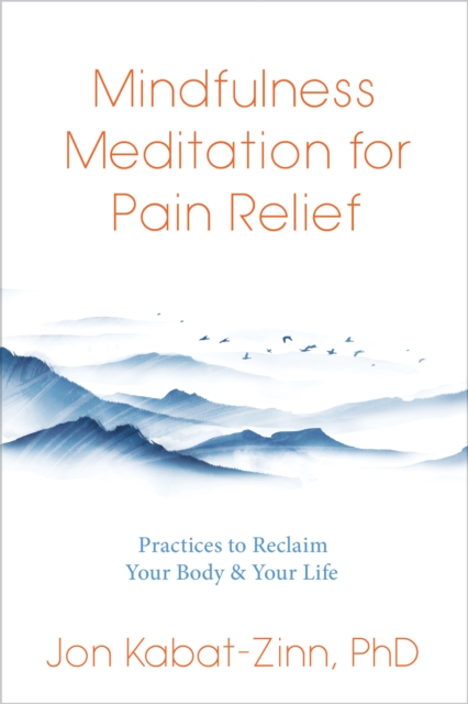 Mindfulness Meditation for Pain Relief : Practices to Reclaim Your Body and Your Life, Paperback / softback Book