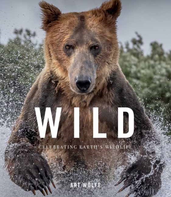 Wild Lives : The World’s Most Extraordinary Wildlife, Hardback Book