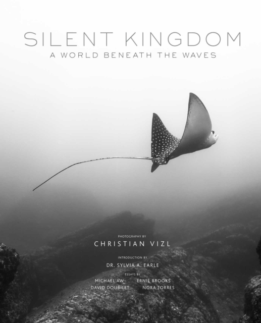 Silent Kingdom : A World Beneath the Waves, Hardback Book