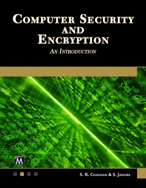 Computer Security and Encryption : An Introduction, PDF eBook