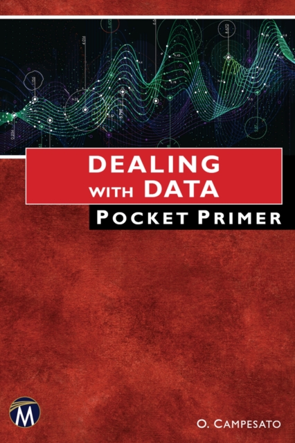 Dealing With Data Pocket Primer, PDF eBook
