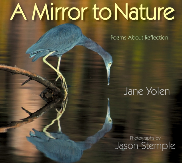 Mirror to Nature, A : Poems about Reflection, Paperback / softback Book