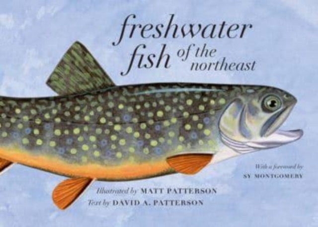Freshwater Fish of the Northeast, Paperback / softback Book