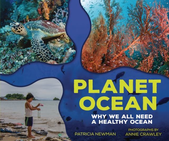 Planet Ocean : Why We All Need a Healthy Ocean, PDF eBook