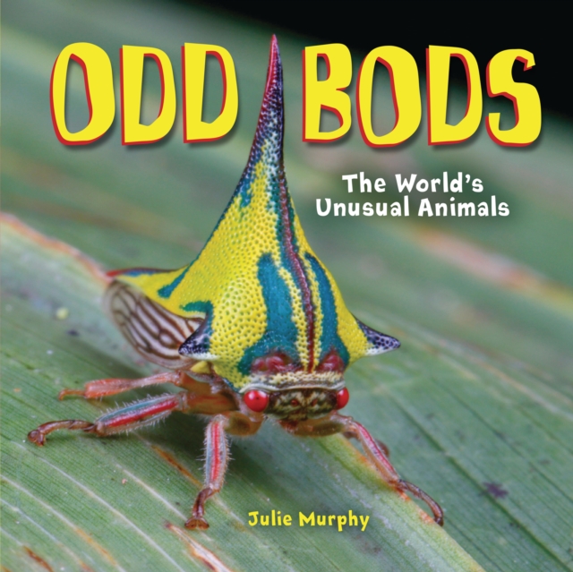 Odd Bods : The World's Unusual Animals, PDF eBook
