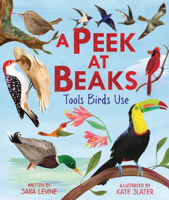 A Peek at Beaks : Tools Birds Use, EPUB eBook