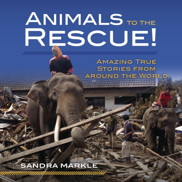 Animals to the Rescue! : Amazing True Stories from around the World, EPUB eBook